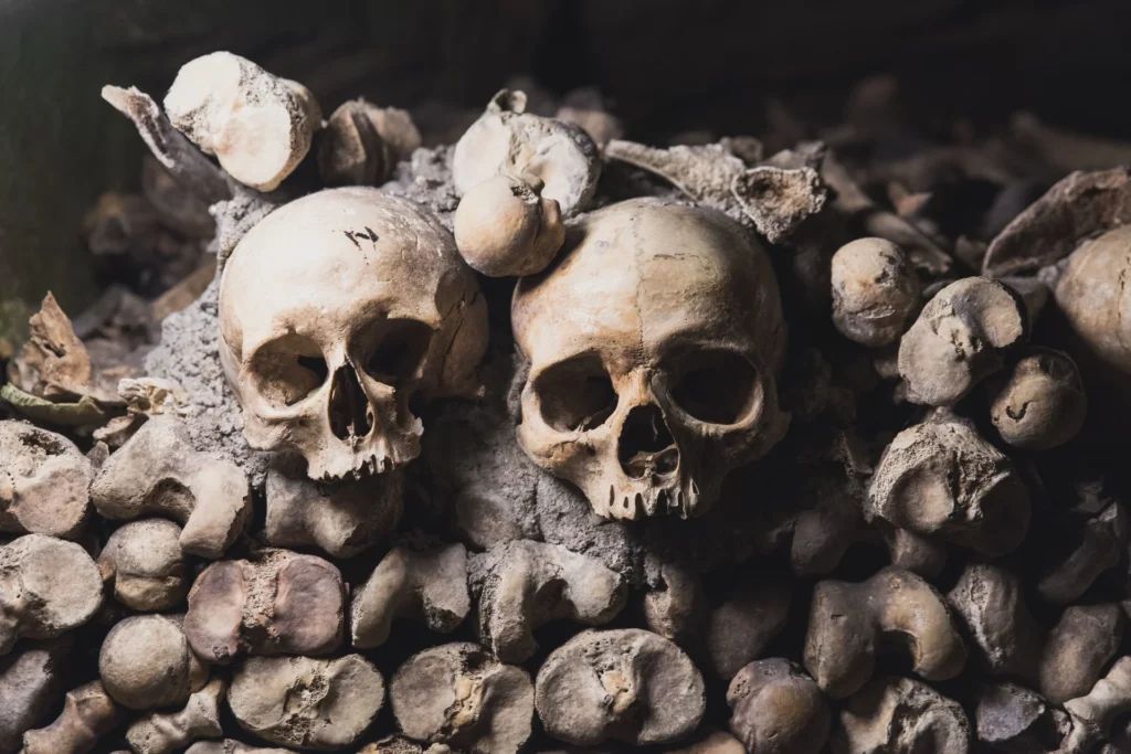 Calaveras y huesos de las catacumbas de París