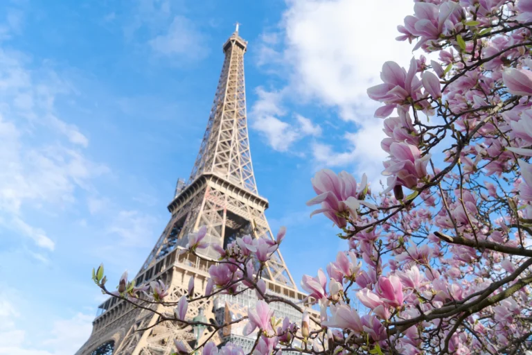 Torre Eiffel con flores